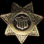 DEPUTY SHERIFF BADGE GOLD GENERIC W CREST PIN